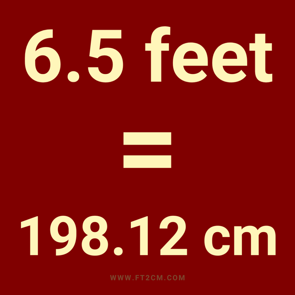 6.5 Feet to cm